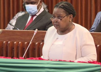 Esperança Bias enaltece contribuição da EU nos esforços da Paz em Moçambique