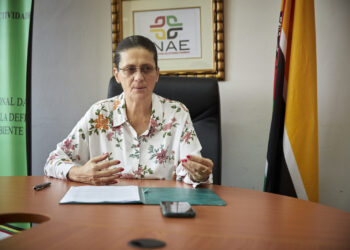 INAE trabalha para travar a especulação de preços durante a quadra festiva