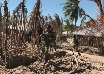 Administrador confirma circulação de terroristas em Macomia
