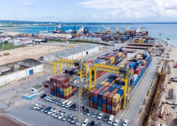 Caso feijão bóer: Tribunal recusa decisão da PGR para arquivar processo