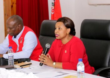 Frelimo oficializa Gabinete de Preparação das Eleições Presidenciais e Legislativas na Cidade de Maputo