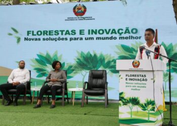 Marracuene recebe cerimónias centrais por ocasião do Dia Internacional da Florestas