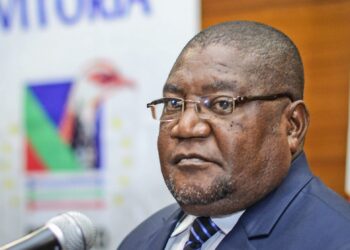 Ossufo Momade diz que “ninguém forçou a Renamo a realizar o Congresso”