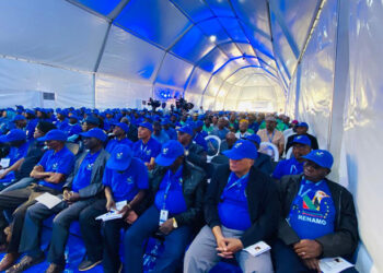 Oito delgados provinciais apoiam continuidade de Ossufo Momade