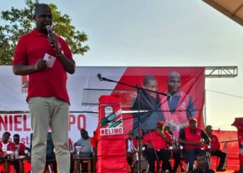 Jovens de Inhagoia Esperam Oportunidades de Emprego com Daniel Chapo