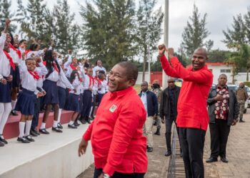 Frelimo aprova por unanimidade manifesto eleitoral