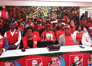 Chefe da brigada central de assistência à cidade de Maputo fortifica o trabalho na ACLLIN