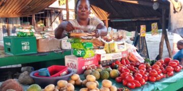 História de Determinação e Resiliência: Regina Frei, a empreendedora que desafiou as adversidades