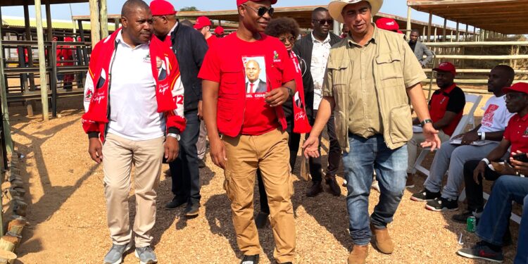 Leilão de gado supera expectativas em Namaacha