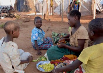 Insegurança alimentar afecta 9% moçambicanos