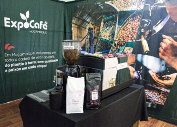 Moçambique projeta produção de 90 toneladas de café em 2025 e aposta no fortalecimento da cadeia de valor