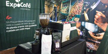 Moçambique projeta produção de 90 toneladas de café em 2025 e aposta no fortalecimento da cadeia de valor