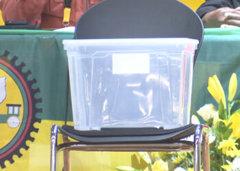 Tribunal dá razão a Alberto Ferreira e suspende segunda-volta das eleições internas do PODEMOS