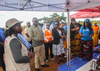 Atendimento às Vítimas de Violência Baseada no Género