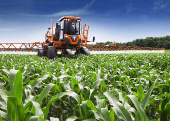 LANÇAMENTO DA POLÍTICA E ESTRATÉGIA DE SEGURANÇA ALIMENTAR E NUTRICIONAL 2024-2030