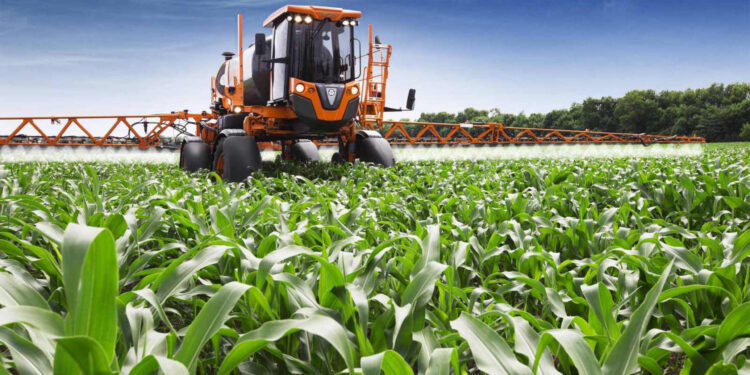 LANÇAMENTO DA POLÍTICA E ESTRATÉGIA DE SEGURANÇA ALIMENTAR E NUTRICIONAL 2024-2030