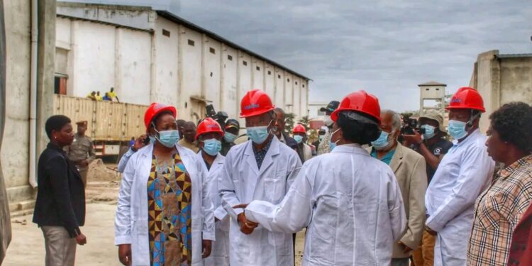 Cuamba Acolhe Indústria Agroalimentar que Revoluciona o Emprego e a Segurança Alimentar no Niassa