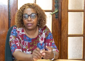 MAPUTO PREVÊ PULVERIZAR MAIS DE 26 MIL CASAS NO DISTRITO KAMAVOTA