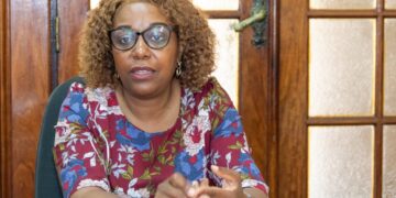 MAPUTO PREVÊ PULVERIZAR MAIS DE 26 MIL CASAS NO DISTRITO KAMAVOTA