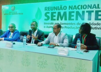Governo traça estratégias sustentáveis para o sistema nacional de sementes