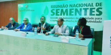 Governo traça estratégias sustentáveis para o sistema nacional de sementes