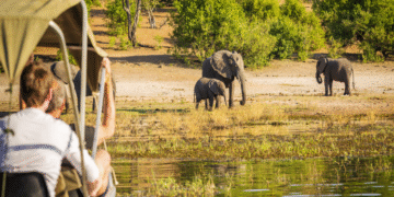 Parque nacional de Maputo é inscrito como património mundial pela UNESCO