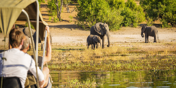 Parque nacional de Maputo é inscrito como património mundial pela UNESCO
