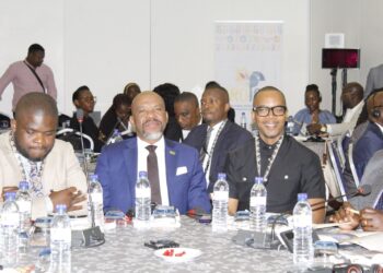 Parlamentares da SADC desafiados a liderar transição energética com foco no desenvolvimento sustentável