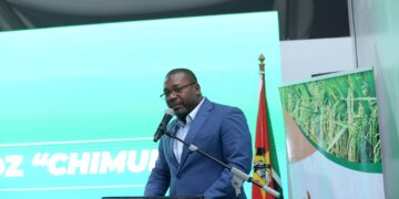 Produção de arroz, entre a retórica oficial e a realidade do campo