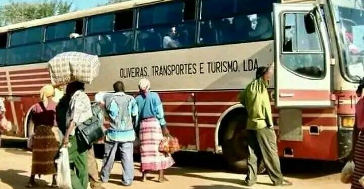 Morreu António Oliveira (Xitonhana), referência dos transportes em Gaza