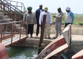 Ministro da Agricultura exige uso efectivo de 10 mil hectares e alerta para fim da ocupação indevida de infraestruturas públicas