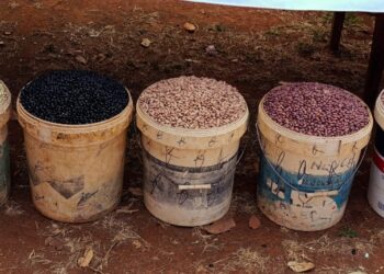 Kudima Mbuanda: 30 mil agricultores mobilizados para transformar o futuro do Niassa