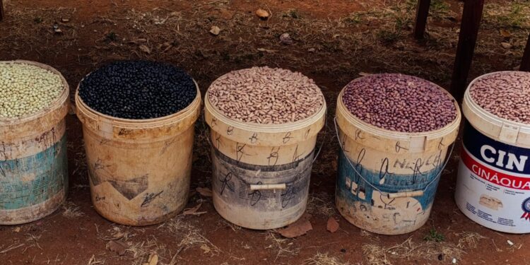 Kudima Mbuanda: 30 mil agricultores mobilizados para transformar o futuro do Niassa