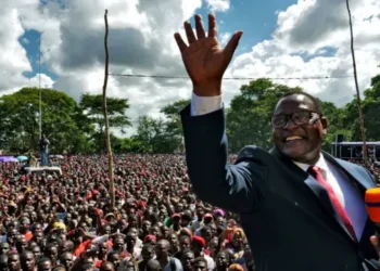 Peter Mutharika projectado como vencedor das eleições no Malawi com mais de 55% dos votos