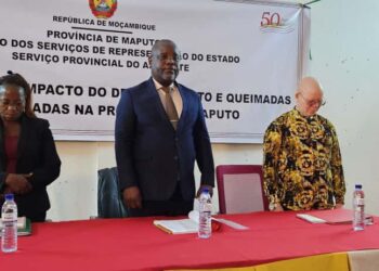 Gestão sustentável das florestas em foco no distrito de Namaacha