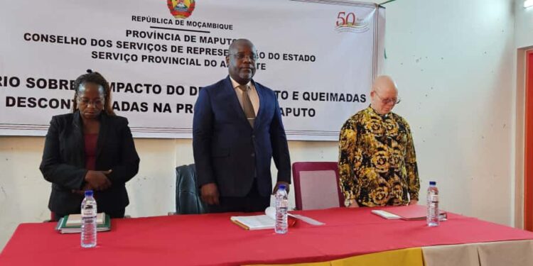 Gestão sustentável das florestas em foco no distrito de Namaacha