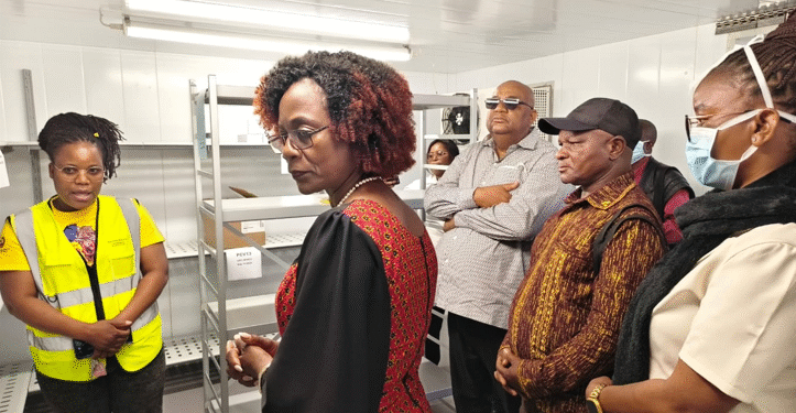 Malária e tuberculose desafiam sistema de saúde em Cuamba