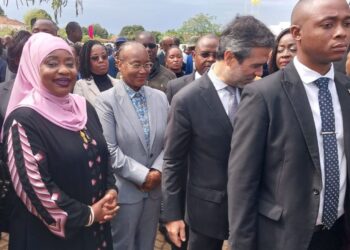 Talapa enfatiza papel da juventude na construção da independência económica de Moçambique