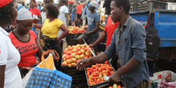 Banco de Moçambique alerta para persistente escassez de divisas