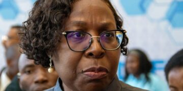 Nova Lei do Ambiente: Entre promessas e desafios de implementação