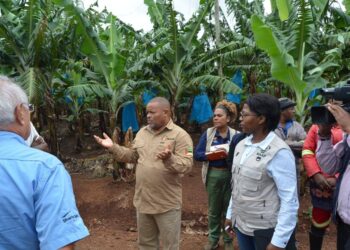 Ministro Roberto Albino destaca importância estratégica da produção de banana para a economia nacional