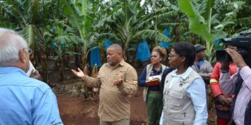 Ministro Roberto Albino destaca importância estratégica da produção de banana para a economia nacional