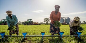 Gapi canaliza mais de 187 milhões de meticais para impulsionar o desenvolvimento rural