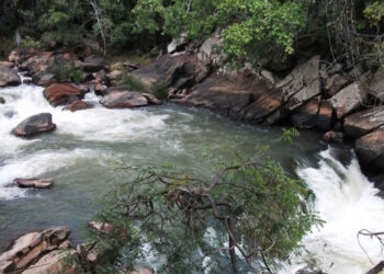 País mobiliza 51,6 milhões de euros para áreas protegidas no âmbito da Iniciativa Keystone