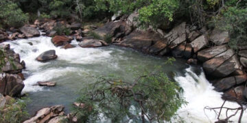 País mobiliza 51,6 milhões de euros para áreas protegidas no âmbito da Iniciativa Keystone