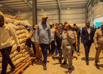 Gergelim de Sofala ganha nova vida com a inauguração de fábrica em dondo