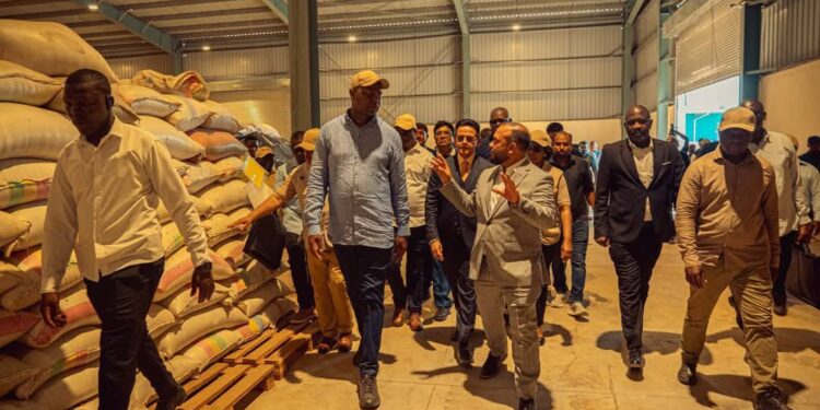 Gergelim de Sofala ganha nova vida com a inauguração de fábrica em dondo