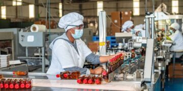 Limitações técnicas revelam fragilidade do sistema de controlo de bebidas alcoólicas no país