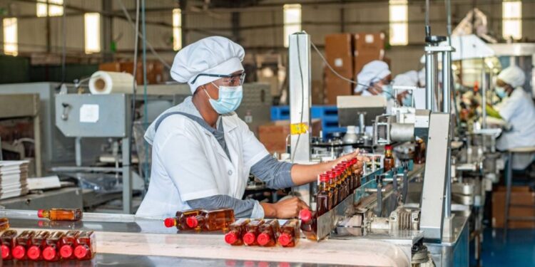 Limitações técnicas revelam fragilidade do sistema de controlo de bebidas alcoólicas no país