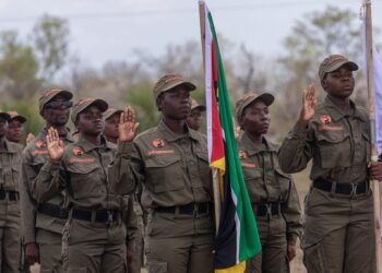 Mulheres assumem papel de destaque na conservação ambiental em Sofala